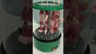 Electric Grill Machine | Kitchen Gadgets  #shorts