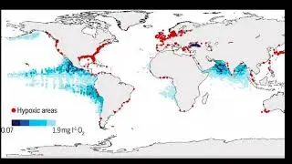 What are ocean dead zones ?