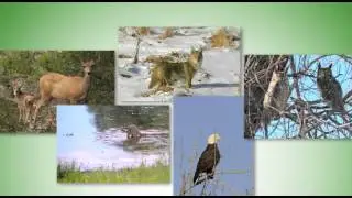 Bluff Lake Nature Center