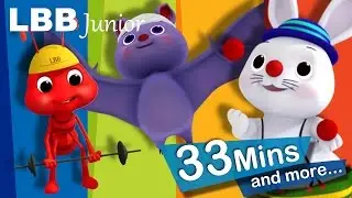 Funny Animals Song | And Lots More Original Songs | From LBB Junior!