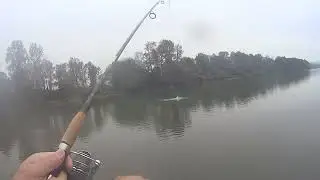 COHO FISHING on the FRASER RIVER. A day to remember. pt5