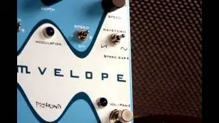 Pigtronix Tremvelope