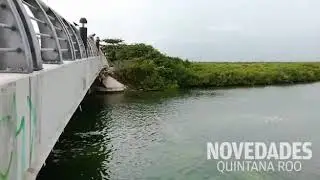 Desconoce Conapesca Canc&uacute;n decreto de protecci&oacute;n para Punta Nizuc