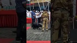 CISF dog training 🔥🇮🇳#shorts #army #youtube #cisf