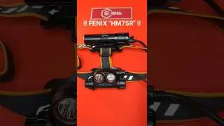 ‼️ FENIX 