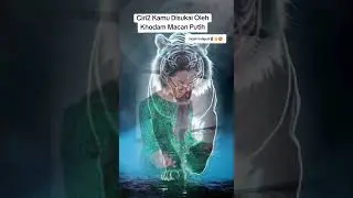 Ciri2 Kamu Di Dampingi khodam Macan Putih
