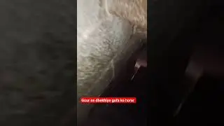horar gufa bhutiya area #shorts #viralvideo