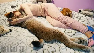 ГРОМАДНАЯ РЫСЬ! )))