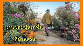 งานผสมปูนเทพื้นที่บ้านสวน🪴❤️🪴