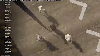 WARZONE LIVE