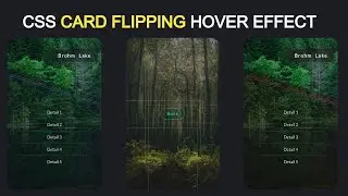 Card Hover Effect | 3D Flip Card Effect on Hover using HTML & CSS