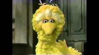 Sesame Street - Big Bird Moves his Nest