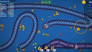 🐺 Werewolf Worm Unleashed! | Wild Power & Beast Mode in Worm Zone 🪱🔥