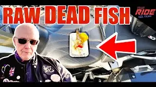 🇬🇧 ENGLISH RIDER TRIES 5 Typical DUTCH FOODS 🇳🇱