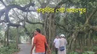 প্রকৃতির গেট জহুরপুর | বাংলাদেশের দ্বিতীয় শতবর্ষী বটগাছ | The Natural Gate of Bangladesh