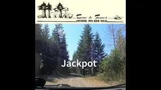 Tour de Forest Rally 2025 Jackpot Stage