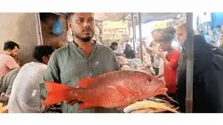Buffer zone 15 B fish market Red sniper cutting 