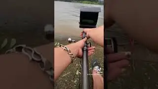 Câu cá chép tự nhiên bằng camera 0975075097 có zl