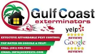 Pest Control Houston Gulf Coast Exterminators (281) 449-7404 - Testimonial