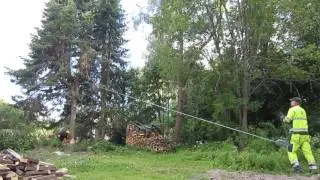 Pihakuusien pihapuiden kaadot stalpen lompakkotalja Stalpen kaadonsuuntaaja k&auml;teisell&auml;