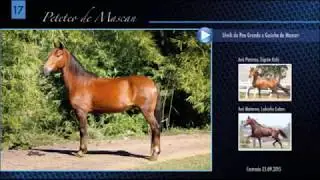 Peteteo de Mascan