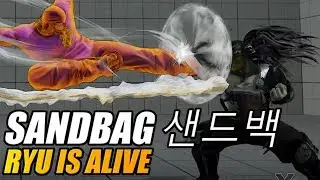 SFV ➡️ SandBag [RYU IS ALIVE] 샌드백