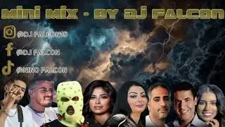 ELGRANDETOTO X SHAW X STORMY X BELMIRE X SNOR X MAMI X RUBY X FADEL CHAKER ( FALCON REMIX )
