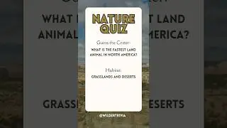 SPEED KING: Guess the Fastest Land Animal in North America!