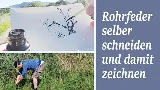 DIY: Zeichenfeder aus Schilfrohr - selbst gemacht!