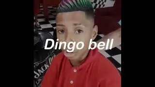 Dingo bell - Letra