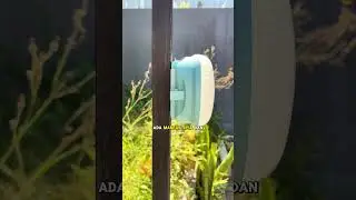 Обязательно нужна сверхъяркая аварийная лампа в виде НЛО мощностью 400 Вт, свечи использовать нел...