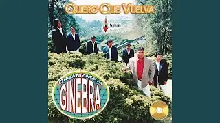 Tema Ginebra
