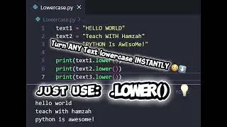 Turn Any Text Into Lowercase Instantly in Python