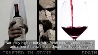 The Wines of Cari&ntilde;ena