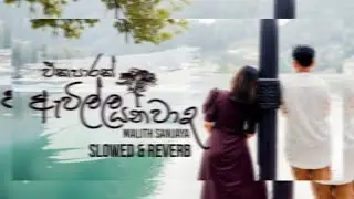 EKA PARAK AWILLA YANAWADA | එකපාරක් ඇවිල්ලා යනවද - Malith Sanjaya  ( Slowed & Reverb ) DILA Beats