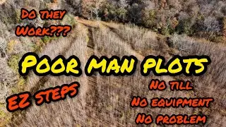 Poor man food plots&hellip;whitetail deer plots on a budget. #deer #deerhunting #foodplots #budget #plots
