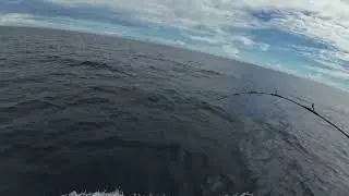 Costa Rica Fishing   Marlin 3
