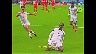 United States vs Wales FIFA WORLD CUP QATAR 2022.