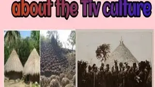 6 interesting facts about the TiV Culture #subscribe #culture #benue #history 