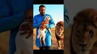 emotional story #emotional #cartoon #kushitvcartoons #kushitvcartoons #kidscartoon #kidscartoon