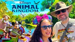A Wild Day at Disney's Animal Kingdom & First Time at Tiffins