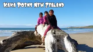 Kaka Point New Zealand