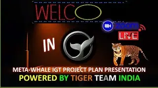 META~WHALE IGT PROJECT BOARD PLAN PRESENTATION TIGER TEAM INDIA