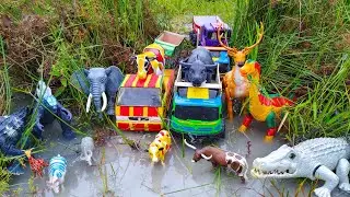 WADIDAU ‼️ PROSES POTONG SAPI KURBAN | Mencari Dan Memberi Makan Sapi, Cow Videos