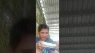 Ăn cơm thịt bò xào hànhTây món ăn channel miền Tây