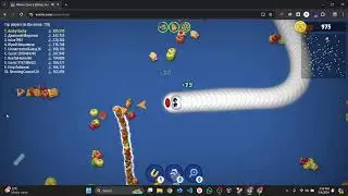 Worm Zone Gaming  |  Wormy Fun! | 🐛 Live Stream