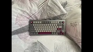Keychron Q1 w/ Boba U4Ts & GMK DMG typing test