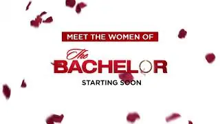 - The Bachelor