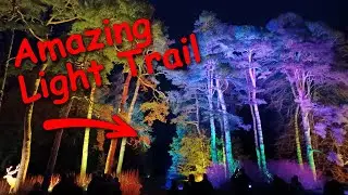 Enchanted Christmas Lights Trial at Westonbirt Arboretum 2021