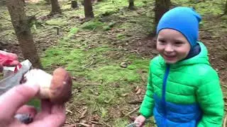 Макс шукає гриби 🍄‍🟫 